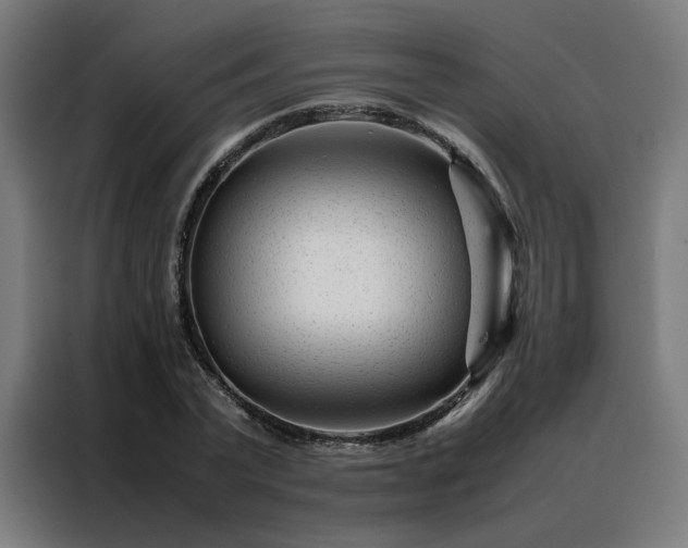 X0000088170783200705221621