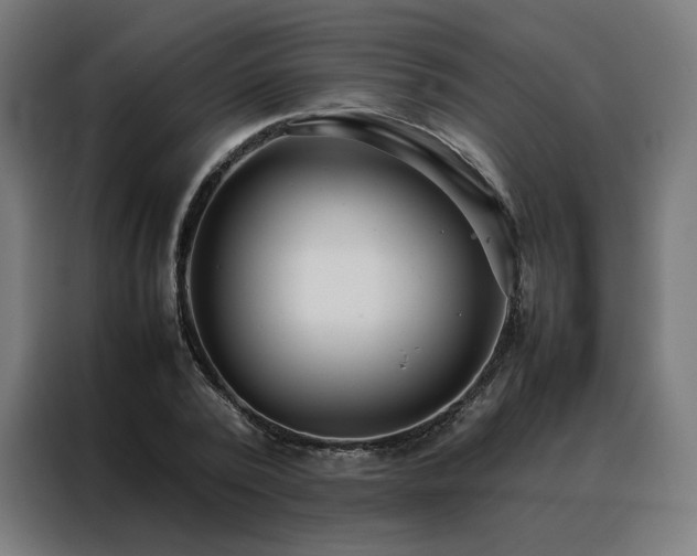 X0000088170784200705221621