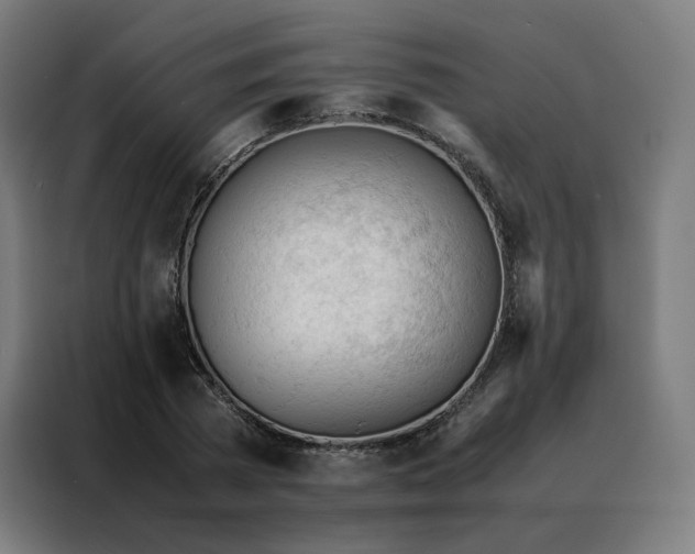 X0000088170785200705221621