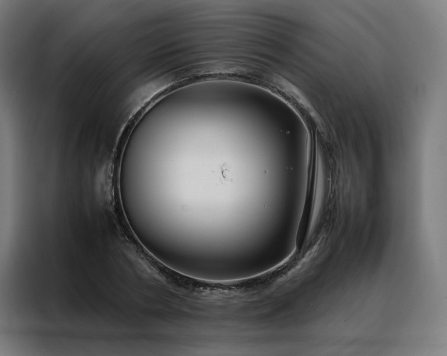 X0000088170786200705221621