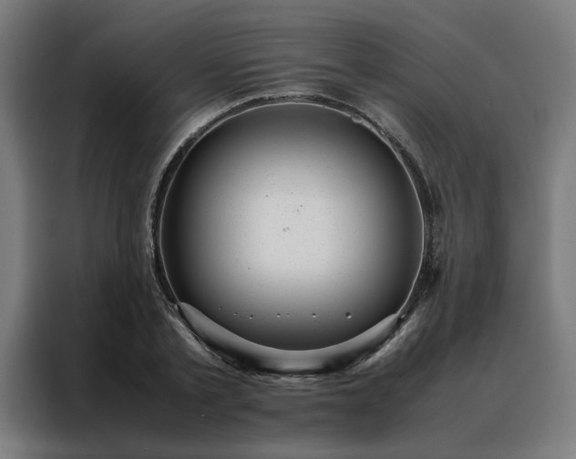 X0000088170789200705221621