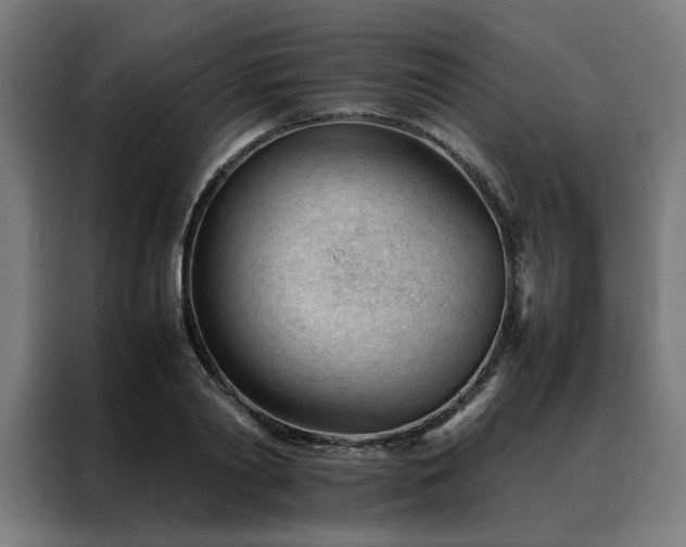 X0000088170790200705221621