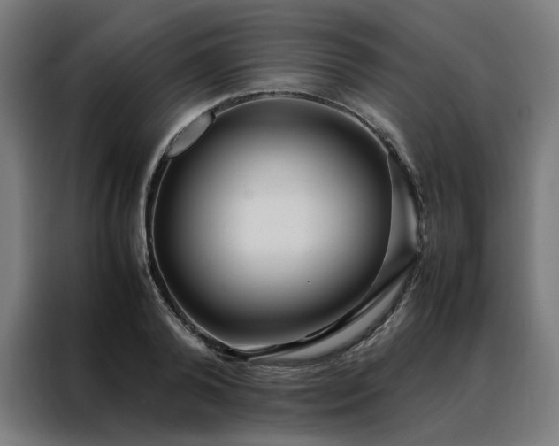 X0000088170792200705221621