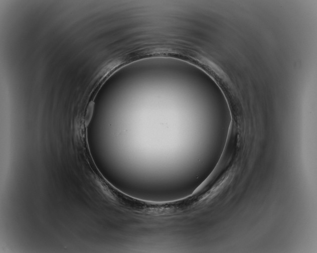 X0000088170793200705221621