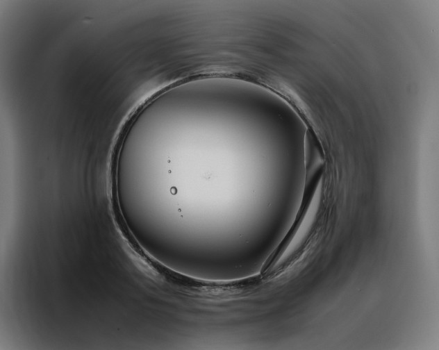 X0000088170795200705221621