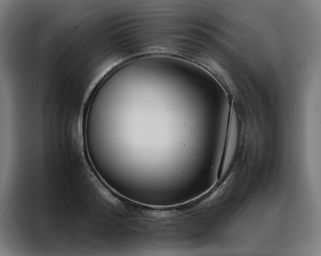 X0000088170796200705221620