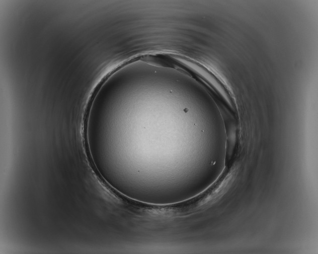 X0000088170797200705221620