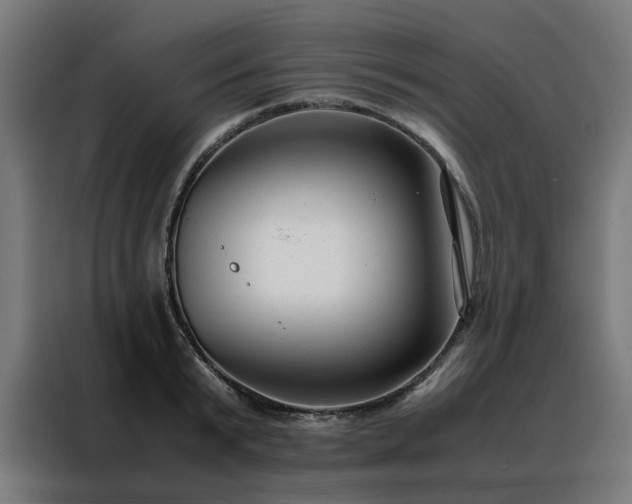 X0000088170799200705221620