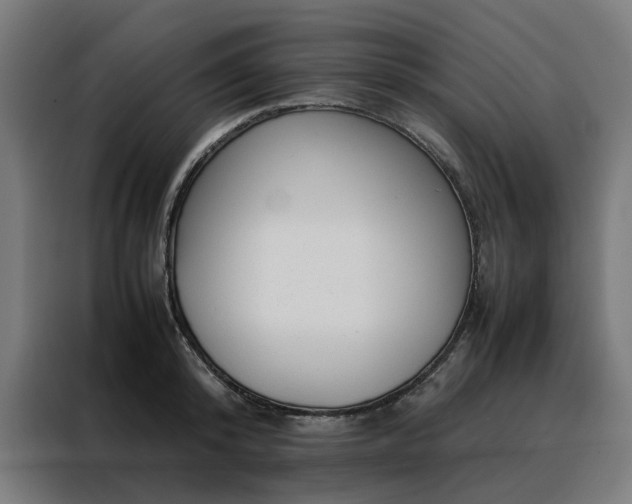 X0000088170800200705221620