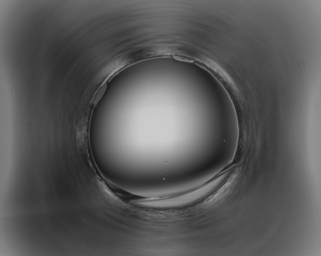 X0000088170801200705221620