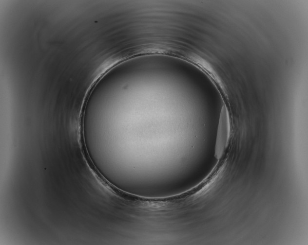 X0000088170802200705221620