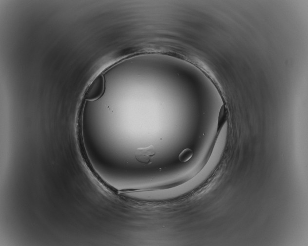 X0000088170803200705221620