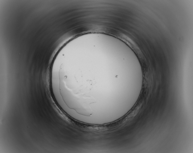 X0000088170804200705221620