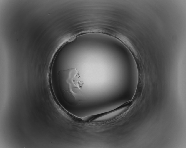 X0000088170805200705221620