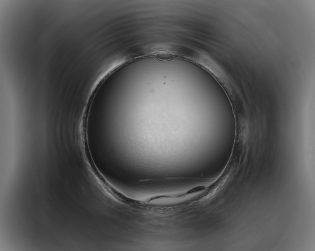 X0000088170806200705221620