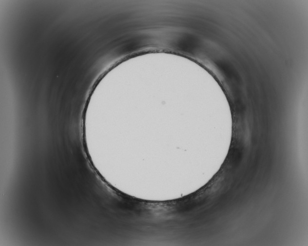 X0000088170807200705221620