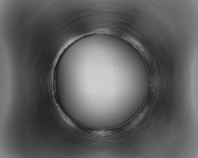 X0000088170808200705221620