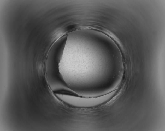 X0000088170809200705221620