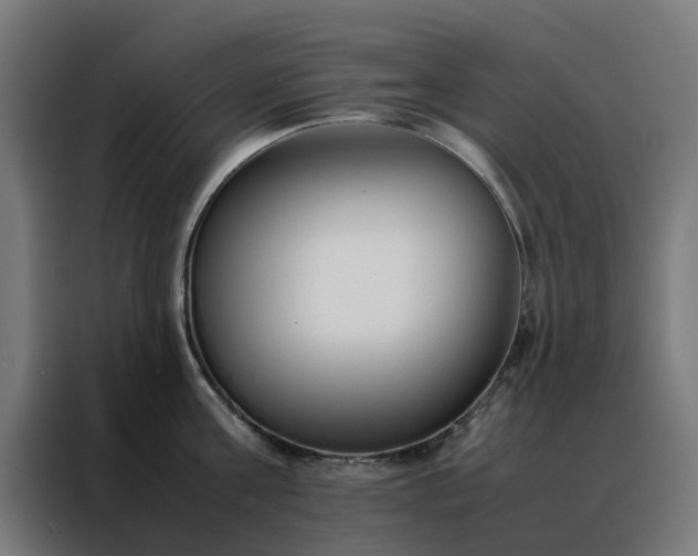 X0000088170811200705221620