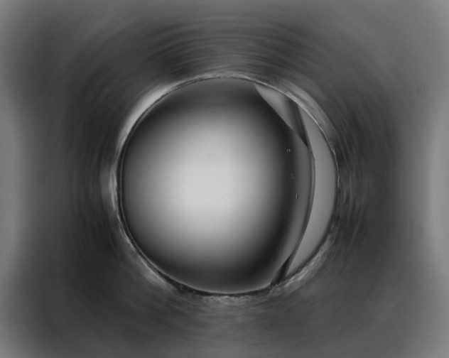 X0000088170812200705221620