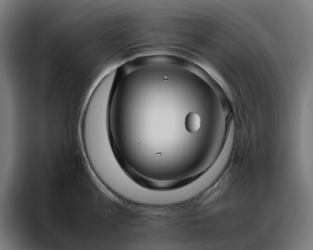 X0000088170813200705221620