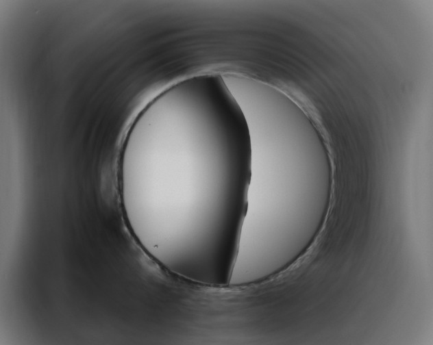 X0000088170816200705221620