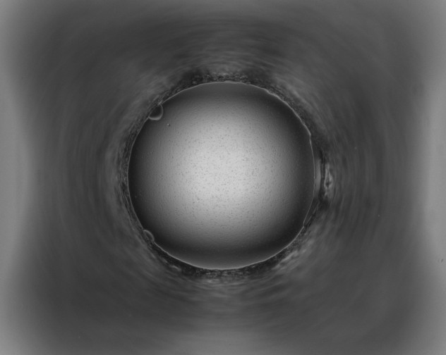 X0000088170817200705221620