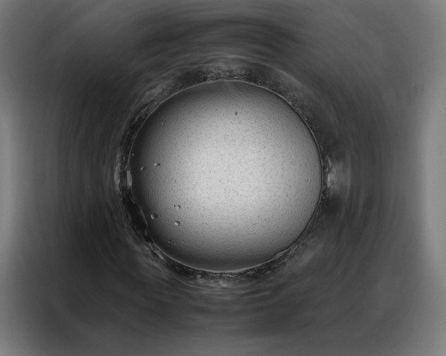 X0000088170819200705221620