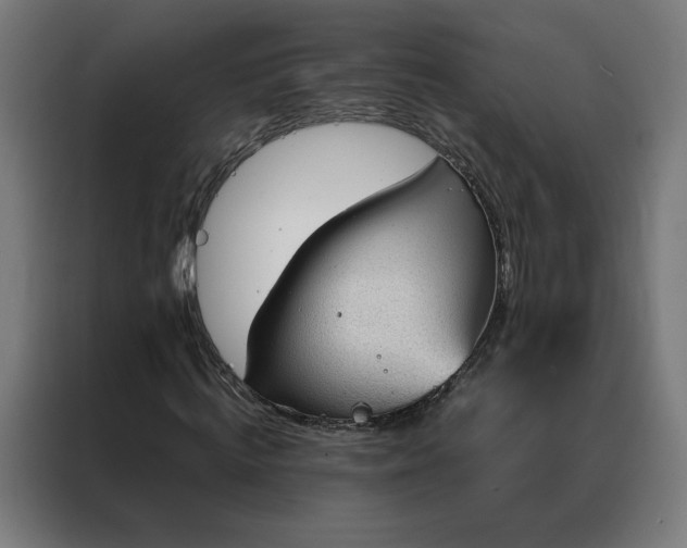 X0000088170820200705221620