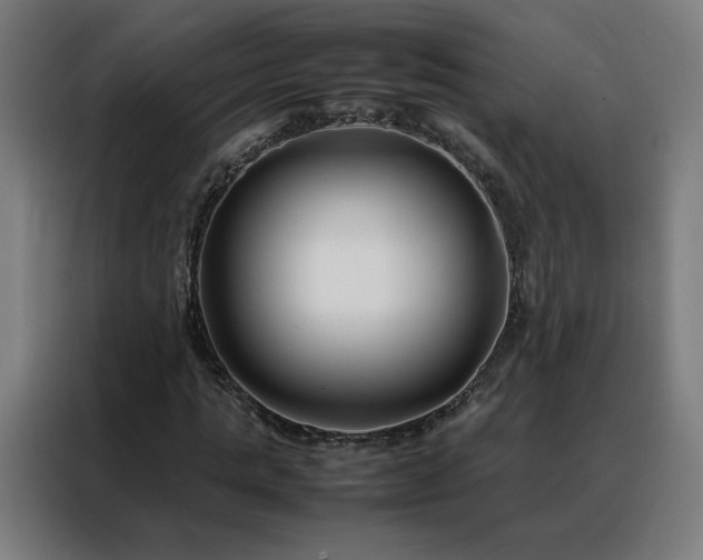 X0000088170821200705221620