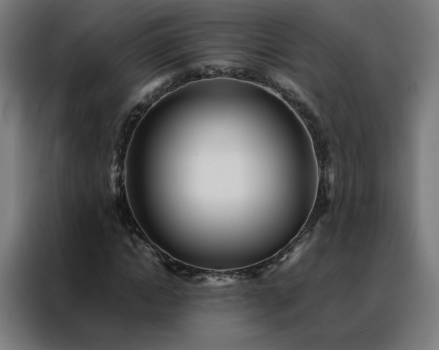 X0000088170822200705221620