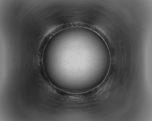 X0000088170823200705221620