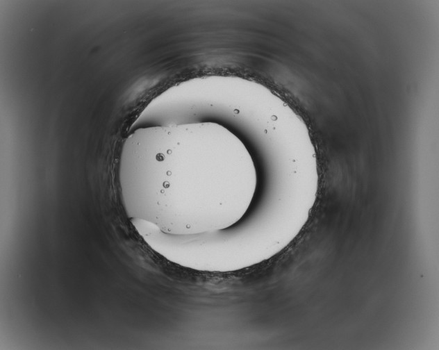 X0000088170824200705221620