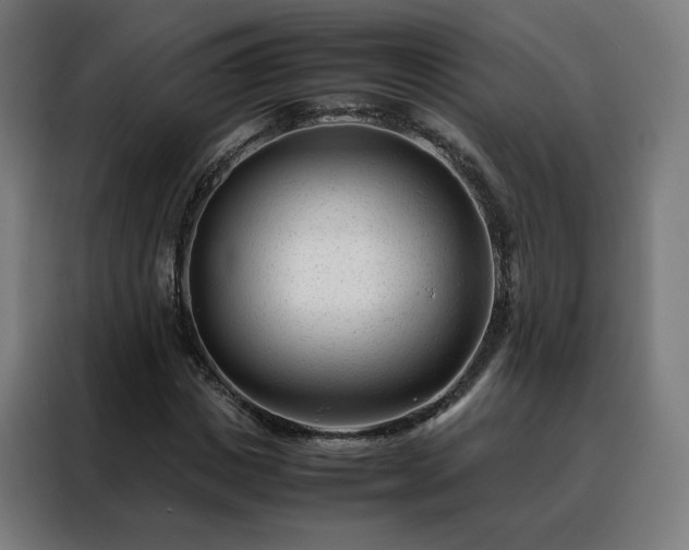 X0000088170825200705221620