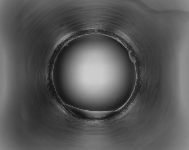 X0000088170826200705221620