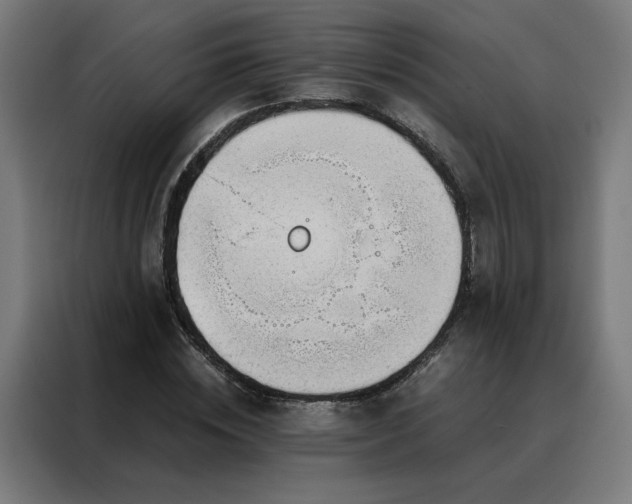 X0000088170828200705221620