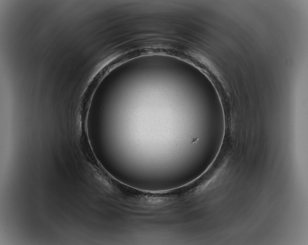 X0000088170829200705221620