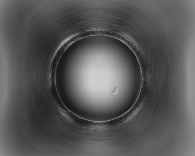 X0000088170830200705221620