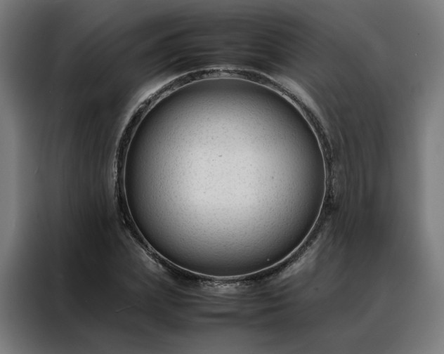 X0000088170831200705221620