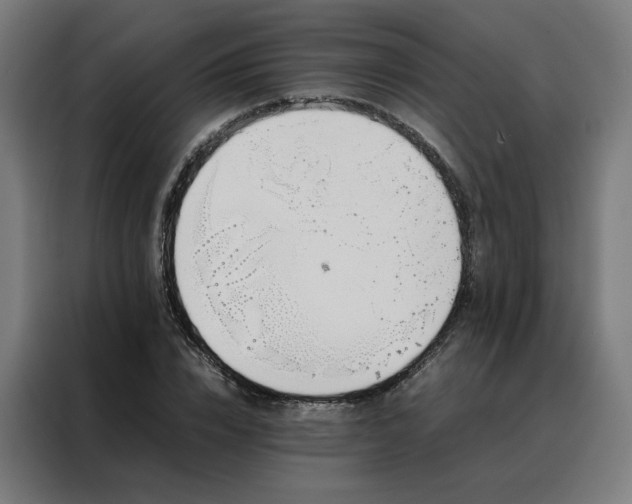 X0000088170832200705221620