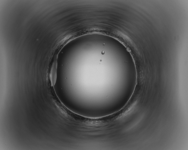 X0000088170833200705221620