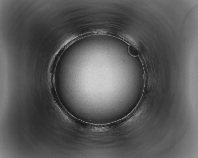 X0000088170835200705221620