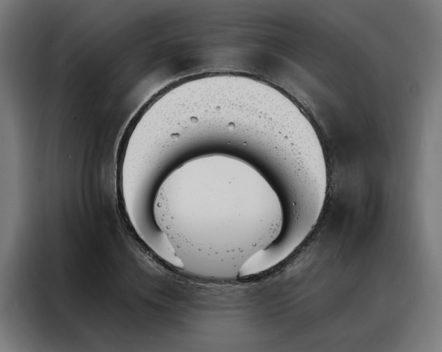 X0000088170836200705221620