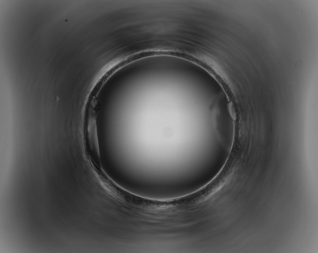 X0000088170837200705221620