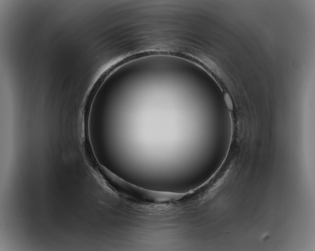 X0000088170838200705221620