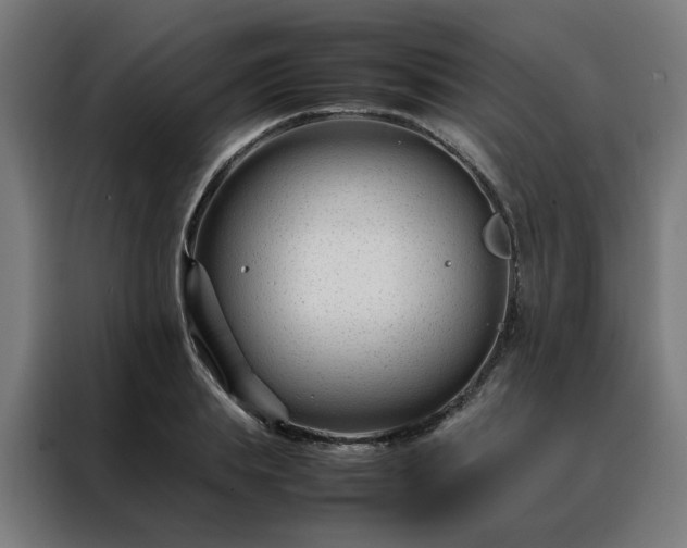 X0000088170839200705221620