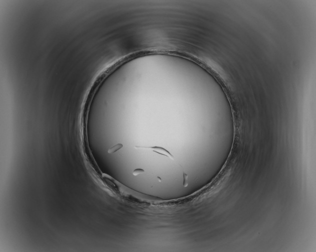 X0000088170840200705221620