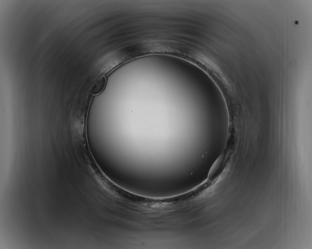 X0000088170841200705221620