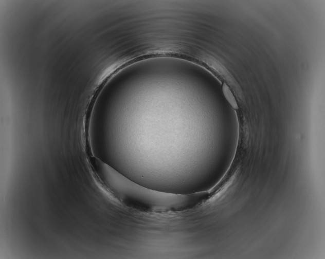 X0000088170842200705221620