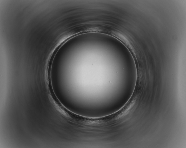 X0000088170843200705221620